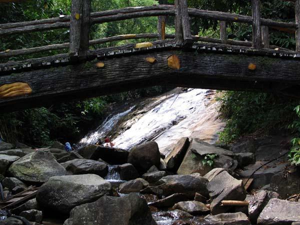gabai02.JPG