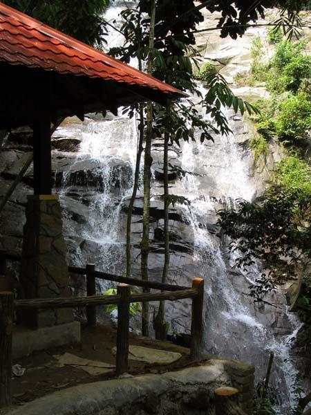 gabai05.JPG