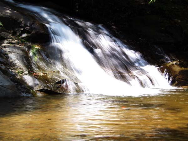 gabai09.JPG