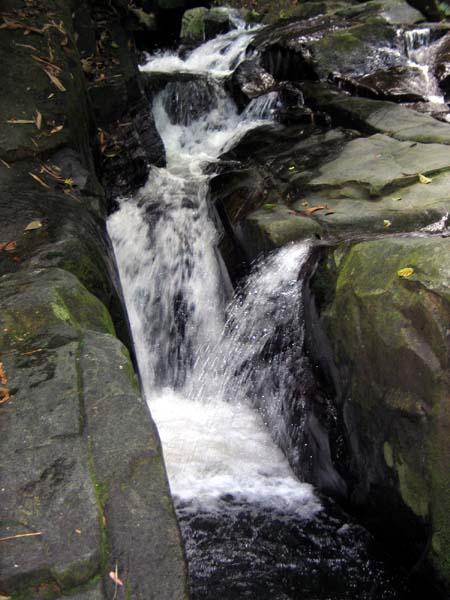 gabai12.JPG