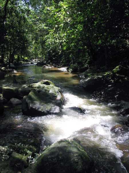 ulupaip04.JPG