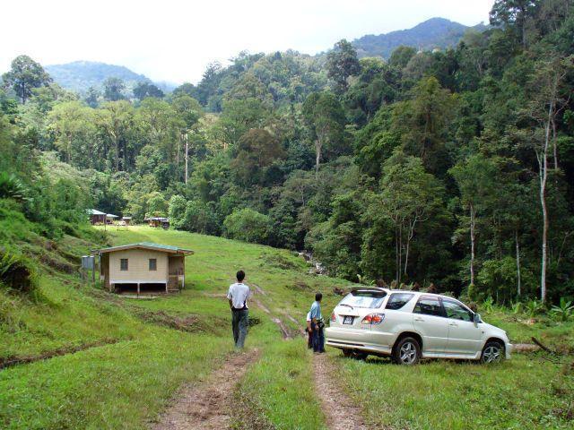 mahua02.jpg