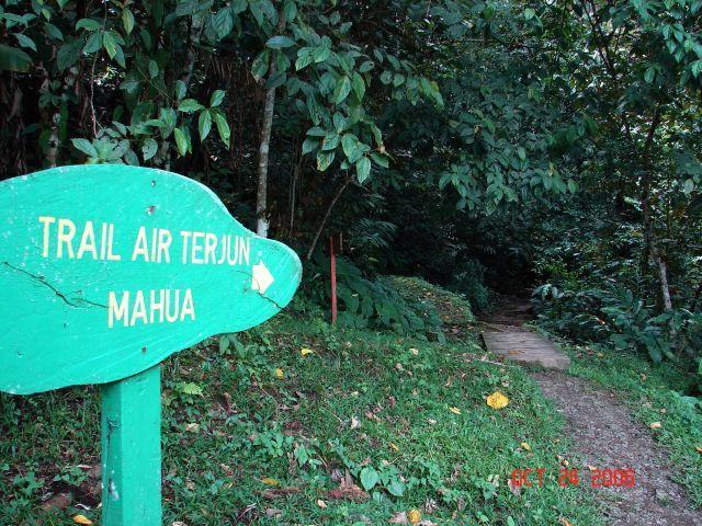 mahua03.jpg