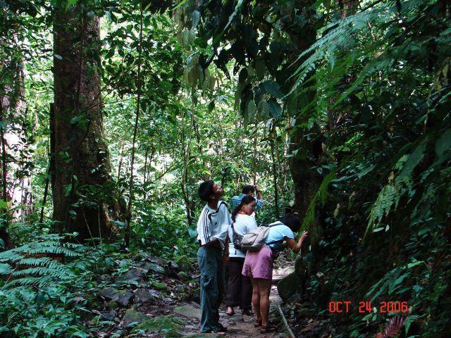 mahua09.jpg
