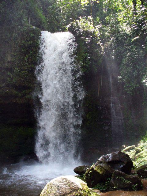 mahua10.jpg