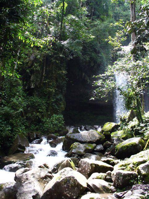 mahua15.jpg