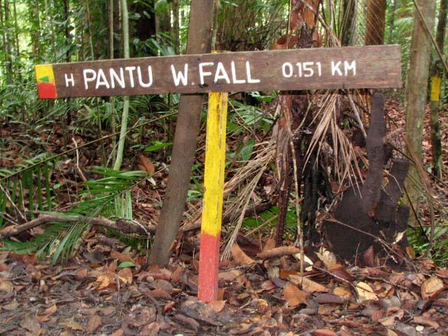 lambir06.JPG