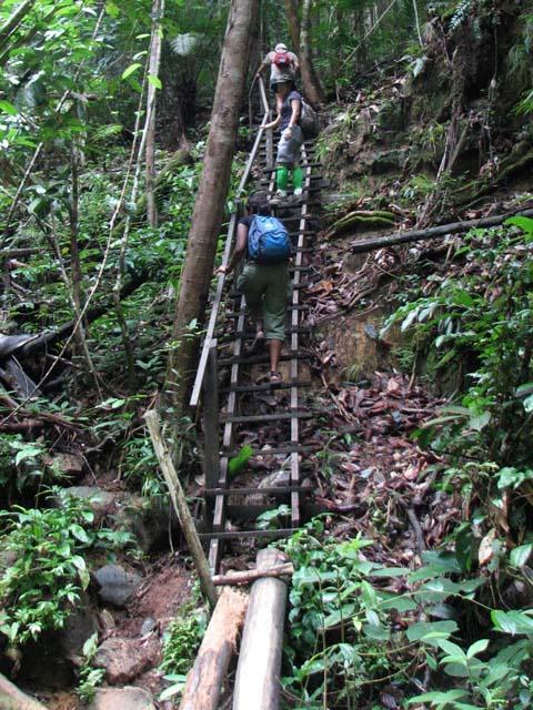 lambir08.JPG