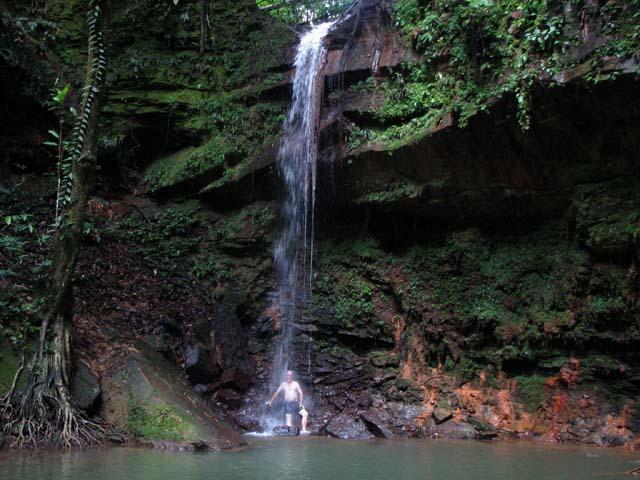 lambir12.JPG