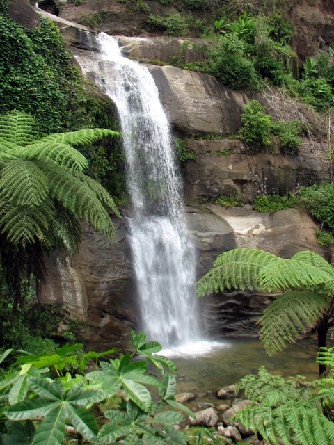 banbuan09.jpg
