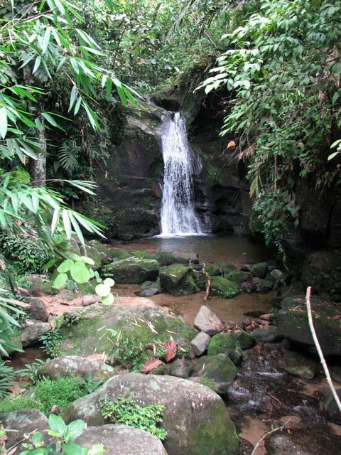 skedu06.JPG