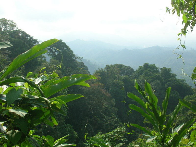 DSCN2747-1.JPG