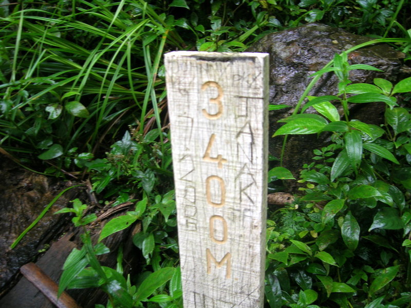 DSCN2770-1.JPG