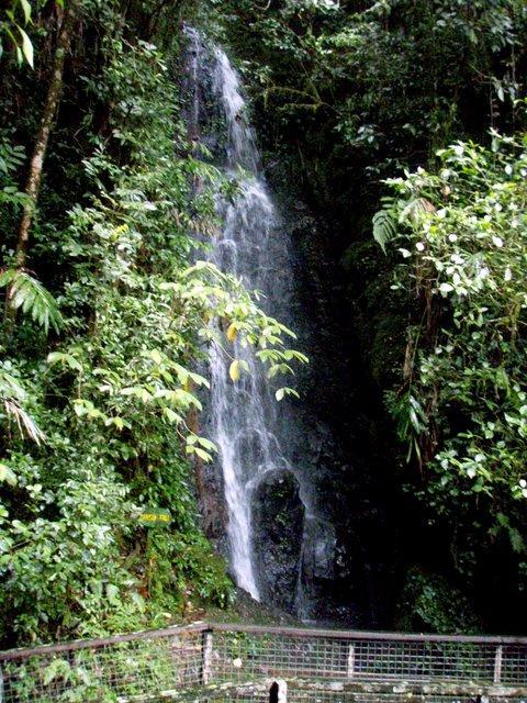 kinabalu03.JPG