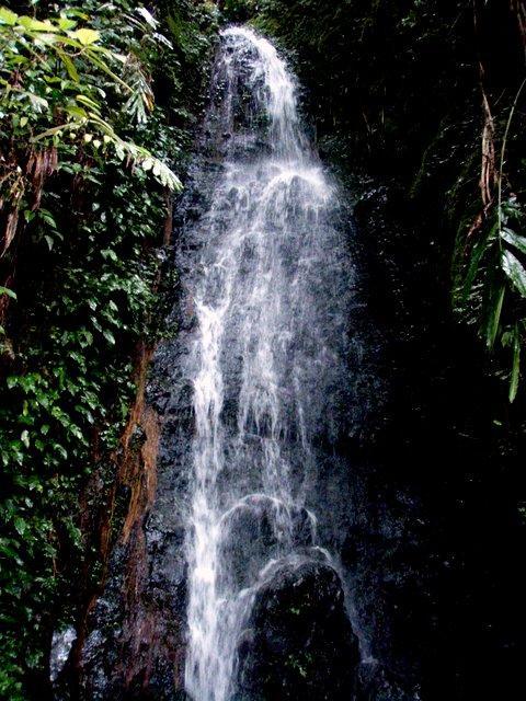 kinabalu04.JPG