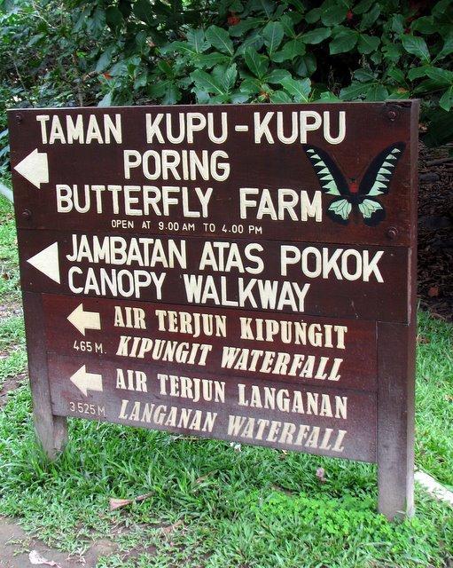 kinabalu07.jpg