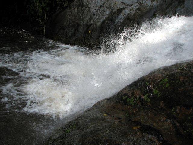 IMG_5165.JPG