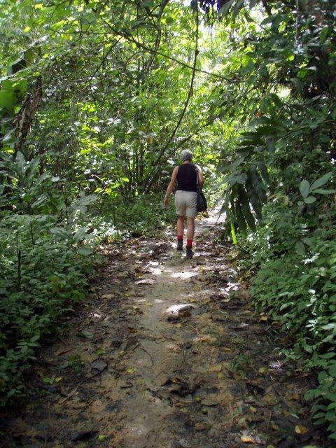 P8150019.JPG