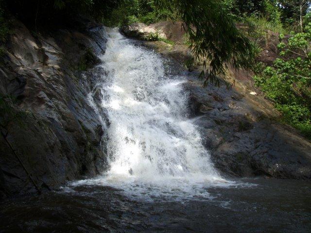 P8150024.JPG