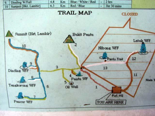 lambir02.JPG