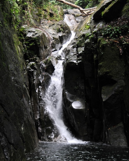 DSC_0908.jpg