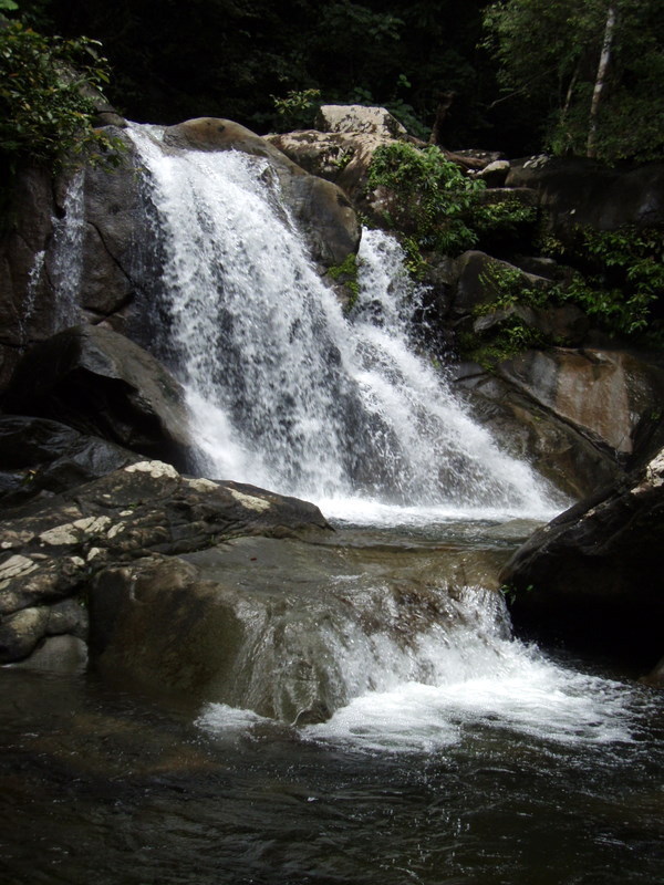 PC160014.jpg