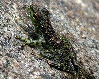 left click for larger picture