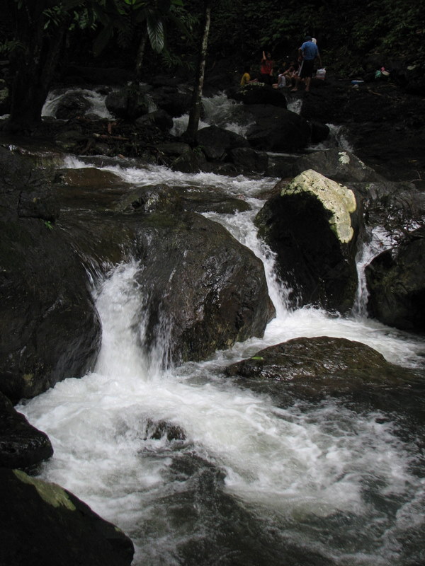 IMG_6502.jpg