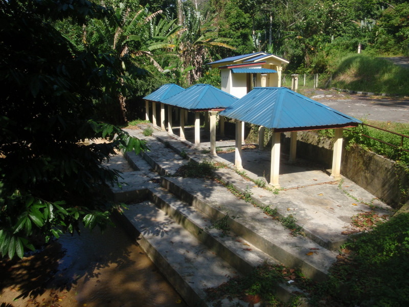P1220007.JPG