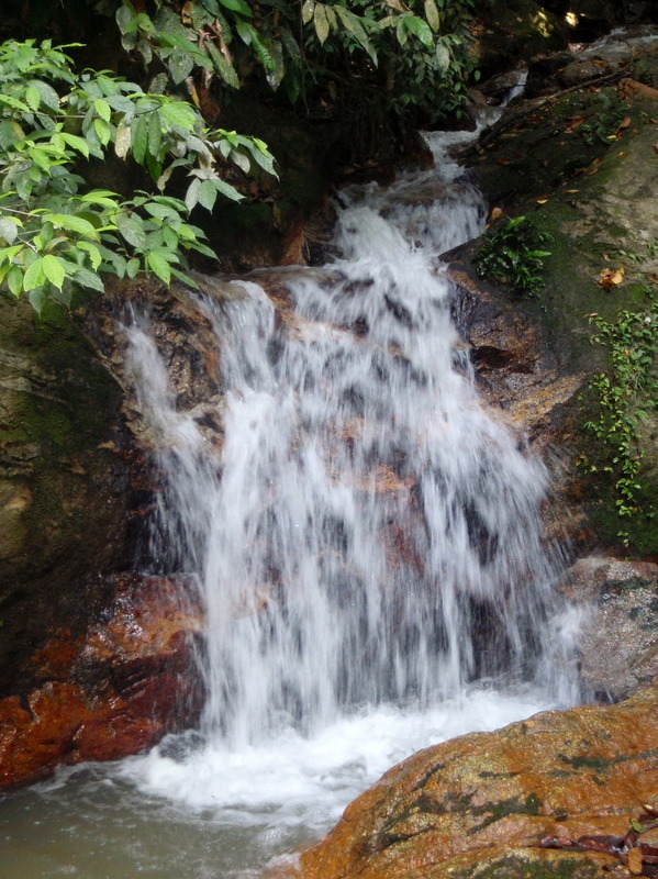 P1220010.JPG