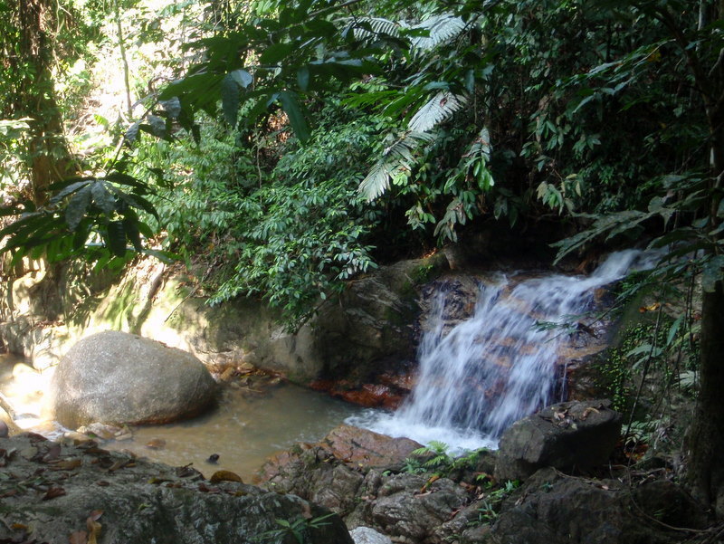 P1220014.JPG