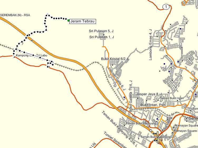 jeramtebrau00.jpg