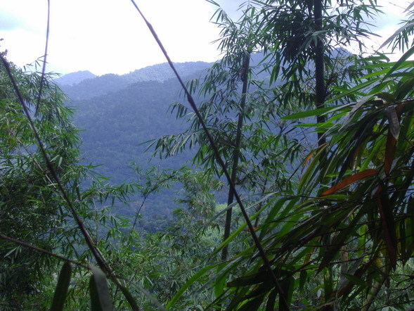 10._Mountain_view_1.5_hr_in.JPG