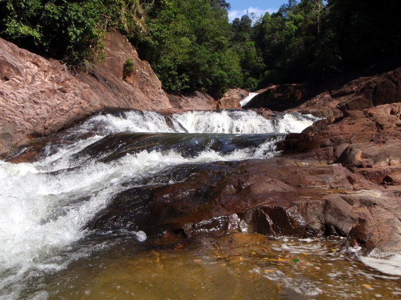 P5030102.jpg