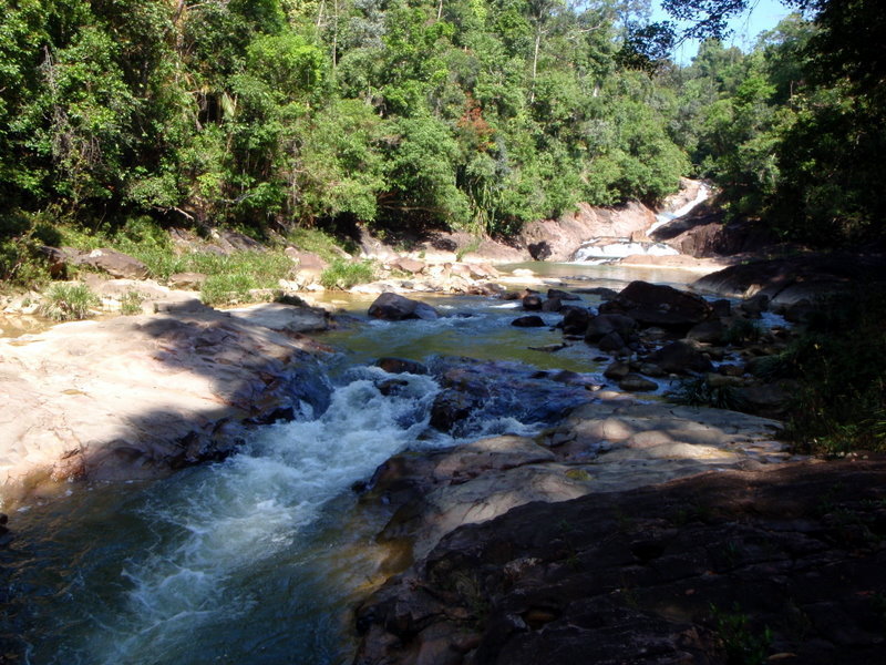 P5030105.jpg