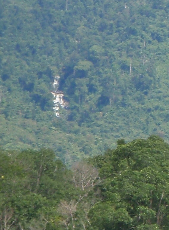P3140009.JPG