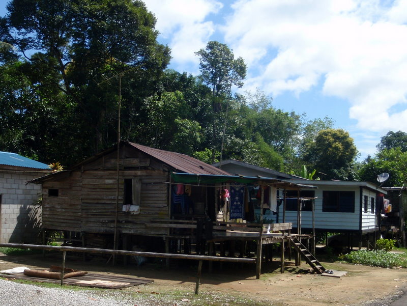 P3140010.JPG