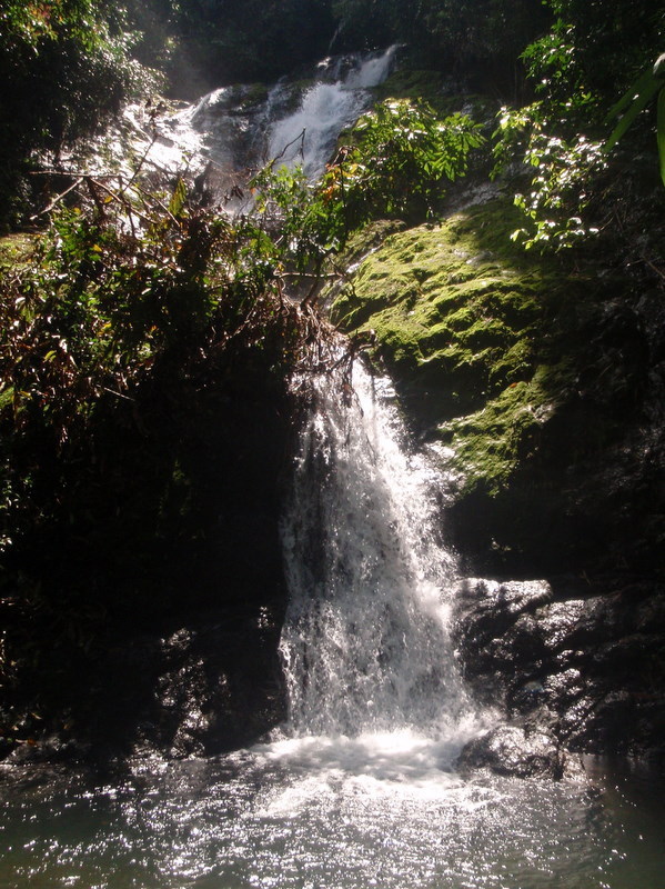 P3150064.JPG