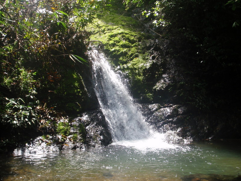 P3150068.JPG