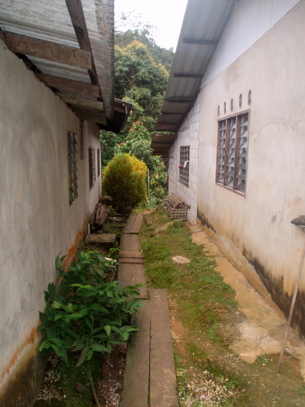 P3150076.JPG