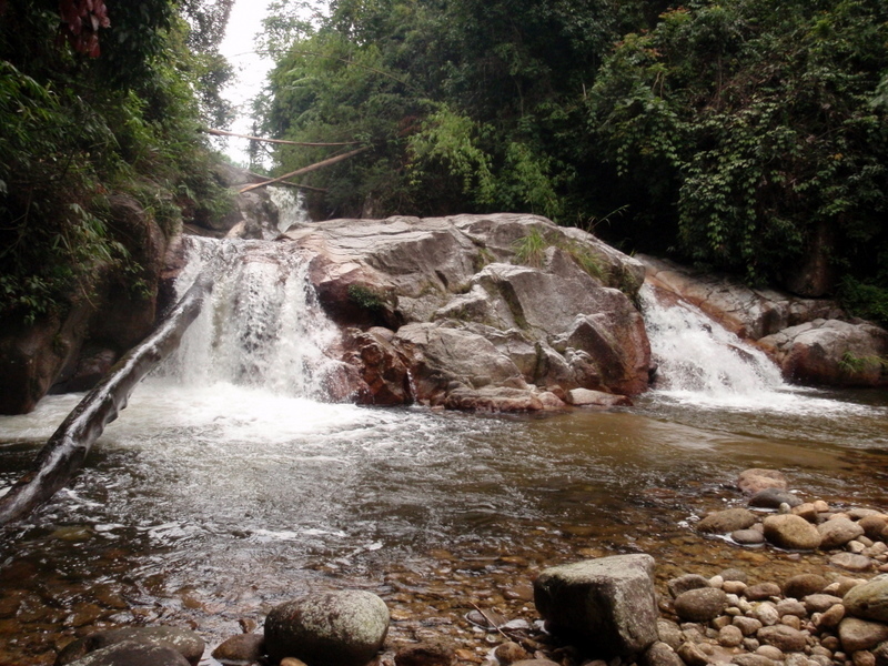 P7110031-1.JPG