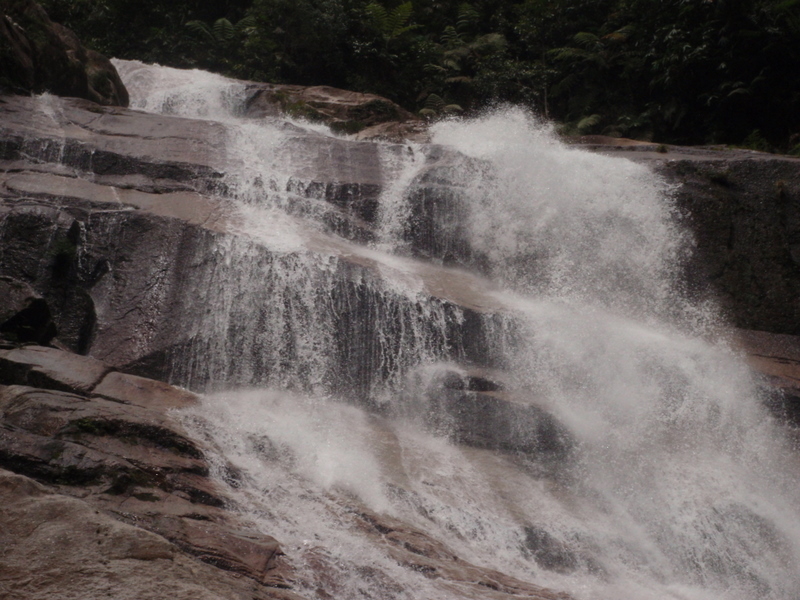 P7120146.JPG