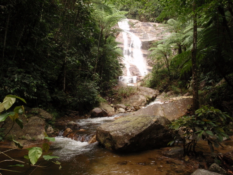 P7120160.JPG