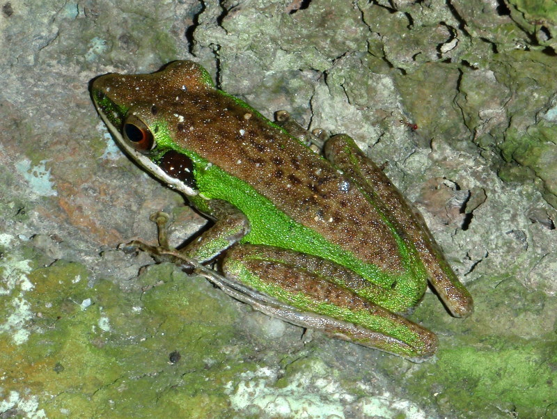P1220061.JPG