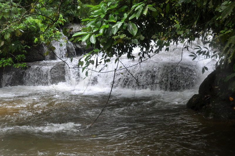 DSC_0036.JPG
