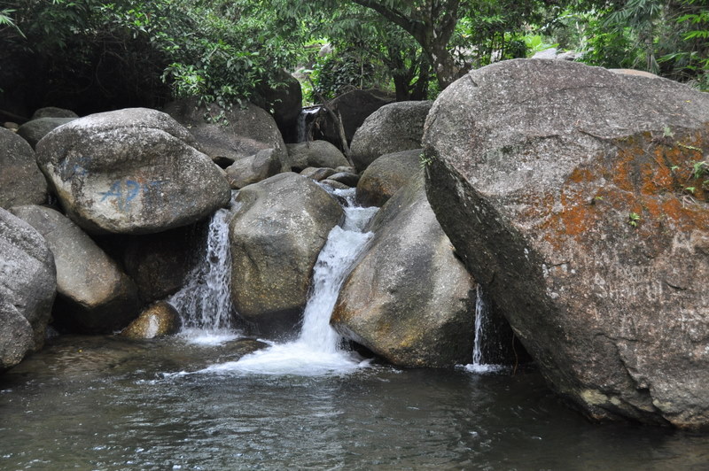 DSC_0004.JPG