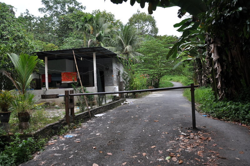 DSC_0014.JPG