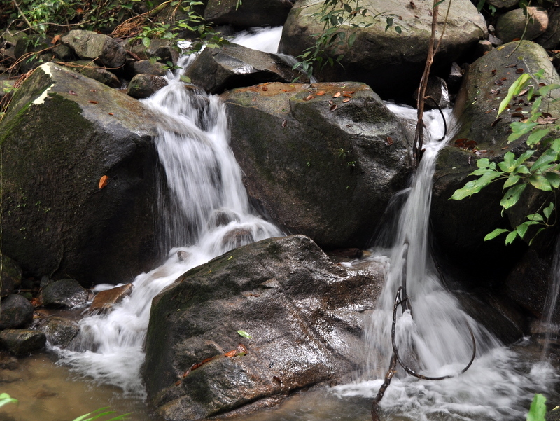 DSC_0091.JPG
