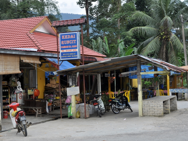 DSC_0116-1.JPG
