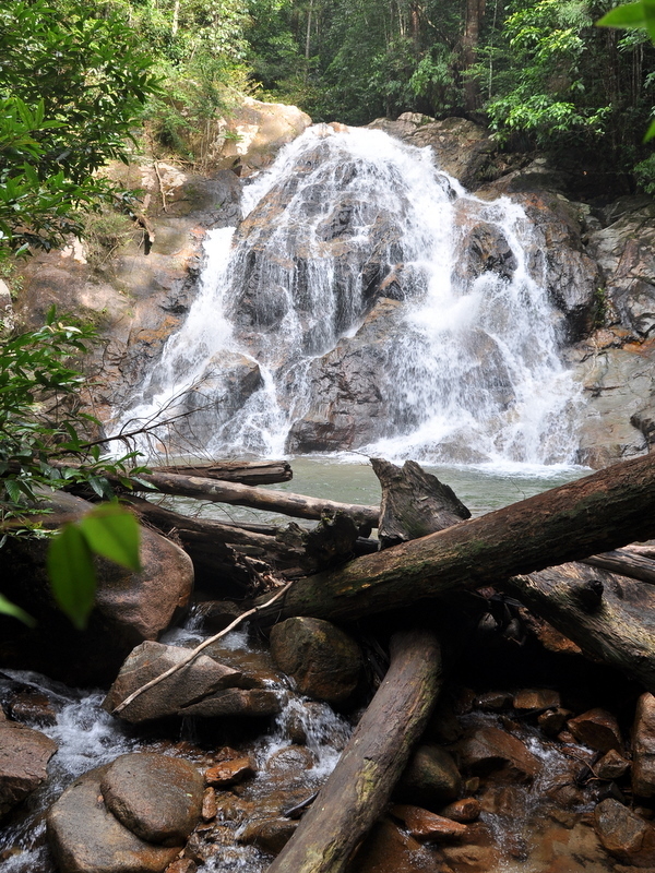 DSC_0805.JPG